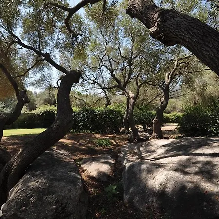 Gallura Stazzo Among Rocks And Olive Trees Sole Ruiu