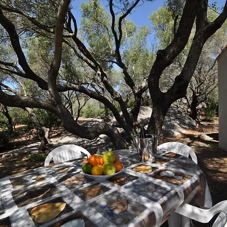 Gallura Stazzo Among Rocks And Olive Trees * Sole Ruiu