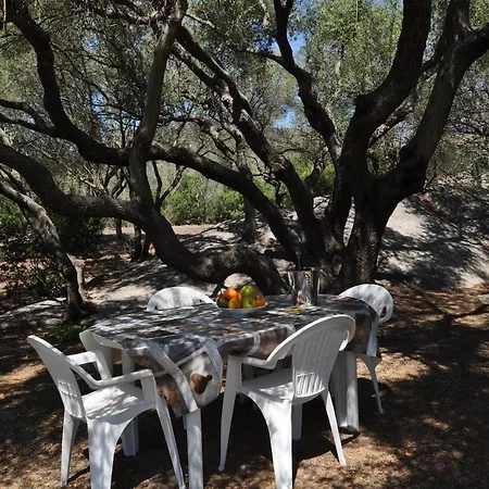 Gallura Stazzo Among Rocks And Olive Trees בית נופש