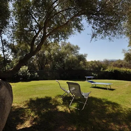 Gallura Stazzo Among Rocks And Olive Trees 別荘 *